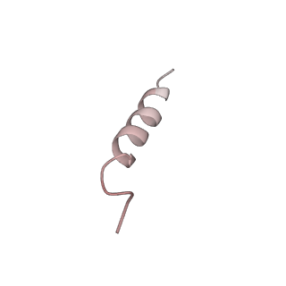 20875_6v8i_CF_v1-1
Composite atomic model of the Staphylococcus aureus phage 80alpha baseplate