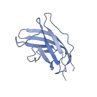 20875_6v8i_CM_v1-1
Composite atomic model of the Staphylococcus aureus phage 80alpha baseplate