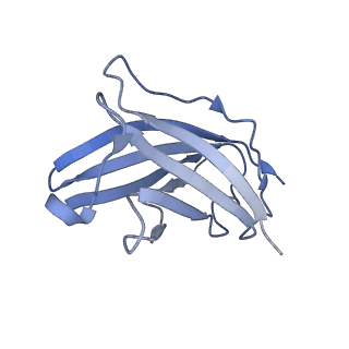 20875_6v8i_CN_v1-1
Composite atomic model of the Staphylococcus aureus phage 80alpha baseplate