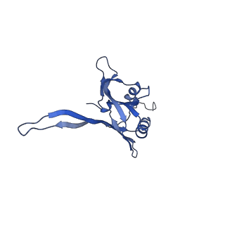 20875_6v8i_DB_v1-1
Composite atomic model of the Staphylococcus aureus phage 80alpha baseplate