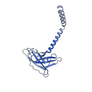 20875_6v8i_DK_v1-1
Composite atomic model of the Staphylococcus aureus phage 80alpha baseplate