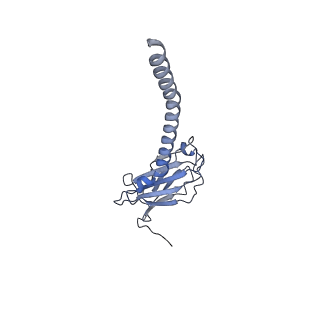 20875_6v8i_DL_v1-1
Composite atomic model of the Staphylococcus aureus phage 80alpha baseplate