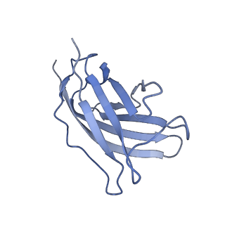 20875_6v8i_DM_v1-0
Composite atomic model of the Staphylococcus aureus phage 80alpha baseplate