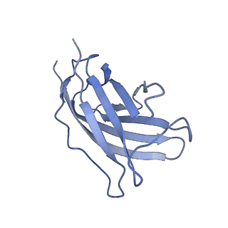 20875_6v8i_DM_v1-1
Composite atomic model of the Staphylococcus aureus phage 80alpha baseplate