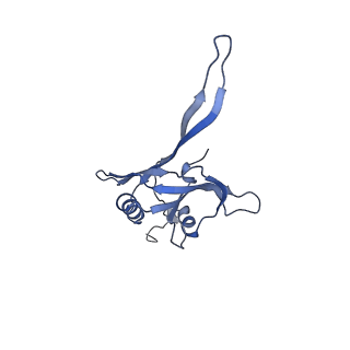 20875_6v8i_EB_v1-0
Composite atomic model of the Staphylococcus aureus phage 80alpha baseplate