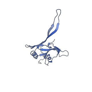 20875_6v8i_EB_v1-1
Composite atomic model of the Staphylococcus aureus phage 80alpha baseplate