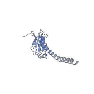 20875_6v8i_EL_v1-0
Composite atomic model of the Staphylococcus aureus phage 80alpha baseplate