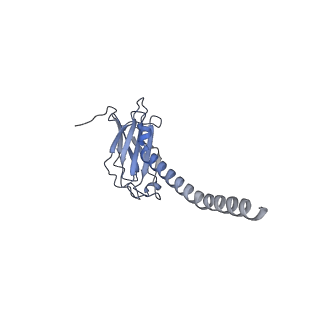 20875_6v8i_EL_v1-1
Composite atomic model of the Staphylococcus aureus phage 80alpha baseplate