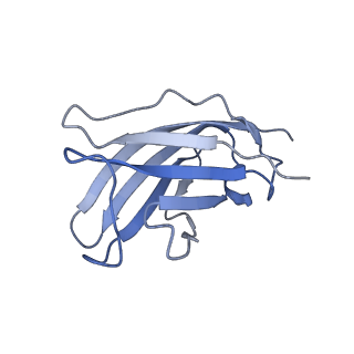 20875_6v8i_EM_v1-1
Composite atomic model of the Staphylococcus aureus phage 80alpha baseplate