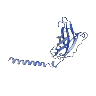 20875_6v8i_FJ_v1-1
Composite atomic model of the Staphylococcus aureus phage 80alpha baseplate