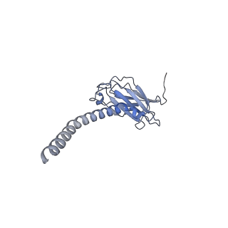 20875_6v8i_FL_v1-1
Composite atomic model of the Staphylococcus aureus phage 80alpha baseplate