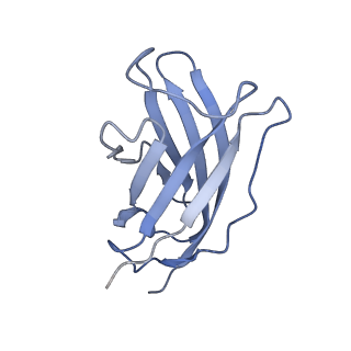 20875_6v8i_FM_v1-1
Composite atomic model of the Staphylococcus aureus phage 80alpha baseplate