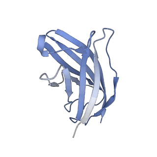 20875_6v8i_FN_v1-0
Composite atomic model of the Staphylococcus aureus phage 80alpha baseplate