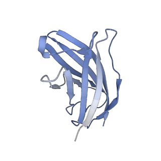 20875_6v8i_FN_v1-1
Composite atomic model of the Staphylococcus aureus phage 80alpha baseplate