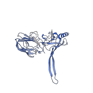 20876_6v8i_AC_v1-1
Composite atomic model of the Staphylococcus aureus phage 80alpha baseplate