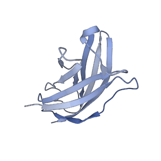 20876_6v8i_AN_v1-0
Composite atomic model of the Staphylococcus aureus phage 80alpha baseplate