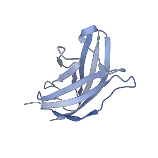 20876_6v8i_AN_v1-1
Composite atomic model of the Staphylococcus aureus phage 80alpha baseplate