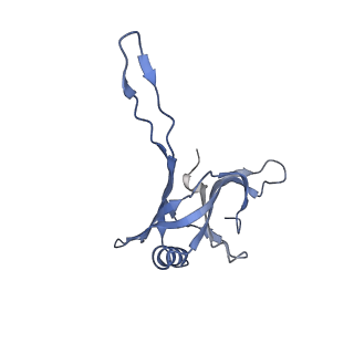 20876_6v8i_BA_v1-1
Composite atomic model of the Staphylococcus aureus phage 80alpha baseplate