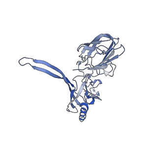 20876_6v8i_BC_v1-0
Composite atomic model of the Staphylococcus aureus phage 80alpha baseplate
