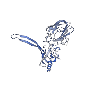 20876_6v8i_BC_v1-1
Composite atomic model of the Staphylococcus aureus phage 80alpha baseplate