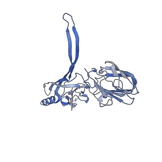 20876_6v8i_BD_v1-0
Composite atomic model of the Staphylococcus aureus phage 80alpha baseplate