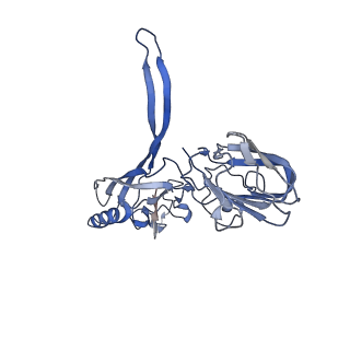 20876_6v8i_BD_v1-1
Composite atomic model of the Staphylococcus aureus phage 80alpha baseplate