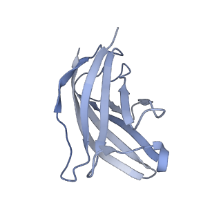 20876_6v8i_BN_v1-1
Composite atomic model of the Staphylococcus aureus phage 80alpha baseplate