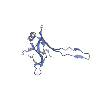 20876_6v8i_CA_v1-0
Composite atomic model of the Staphylococcus aureus phage 80alpha baseplate