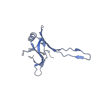 20876_6v8i_CA_v1-1
Composite atomic model of the Staphylococcus aureus phage 80alpha baseplate