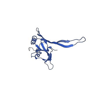 20876_6v8i_CB_v1-0
Composite atomic model of the Staphylococcus aureus phage 80alpha baseplate