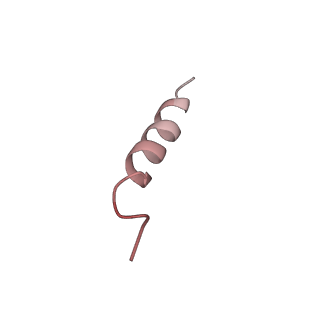 20876_6v8i_CF_v1-1
Composite atomic model of the Staphylococcus aureus phage 80alpha baseplate