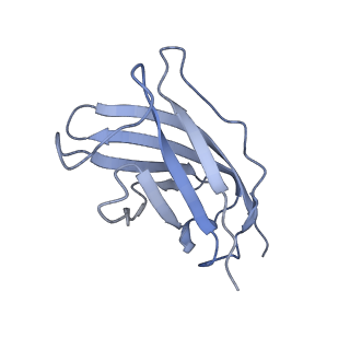 20876_6v8i_CM_v1-1
Composite atomic model of the Staphylococcus aureus phage 80alpha baseplate