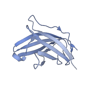 20876_6v8i_CN_v1-0
Composite atomic model of the Staphylococcus aureus phage 80alpha baseplate