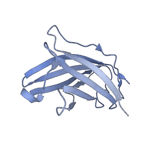 20876_6v8i_CN_v1-1
Composite atomic model of the Staphylococcus aureus phage 80alpha baseplate