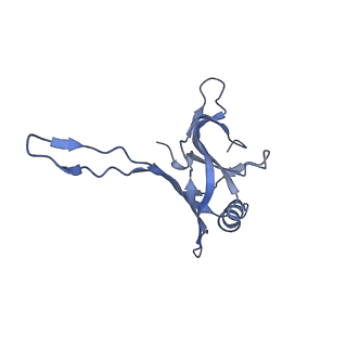 20876_6v8i_DA_v1-1
Composite atomic model of the Staphylococcus aureus phage 80alpha baseplate