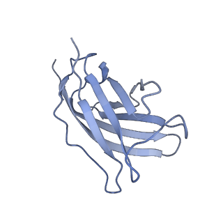 20876_6v8i_DM_v1-0
Composite atomic model of the Staphylococcus aureus phage 80alpha baseplate