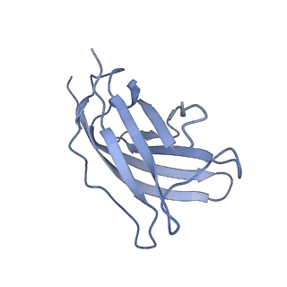 20876_6v8i_DM_v1-1
Composite atomic model of the Staphylococcus aureus phage 80alpha baseplate