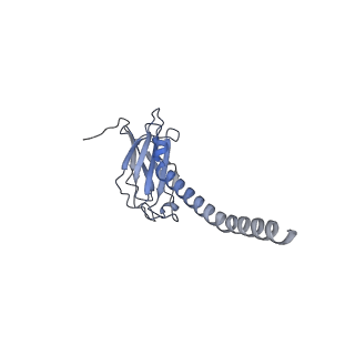 20876_6v8i_EL_v1-0
Composite atomic model of the Staphylococcus aureus phage 80alpha baseplate