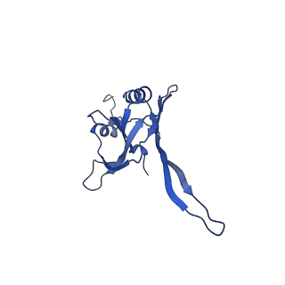 20876_6v8i_FB_v1-1
Composite atomic model of the Staphylococcus aureus phage 80alpha baseplate