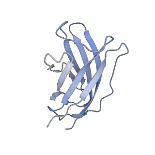 20876_6v8i_FM_v1-0
Composite atomic model of the Staphylococcus aureus phage 80alpha baseplate