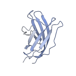 20876_6v8i_FM_v1-1
Composite atomic model of the Staphylococcus aureus phage 80alpha baseplate