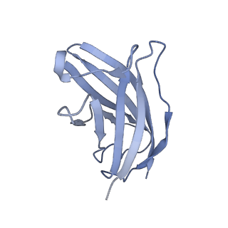 20876_6v8i_FN_v1-0
Composite atomic model of the Staphylococcus aureus phage 80alpha baseplate