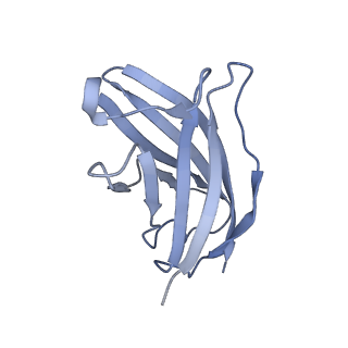 20876_6v8i_FN_v1-1
Composite atomic model of the Staphylococcus aureus phage 80alpha baseplate