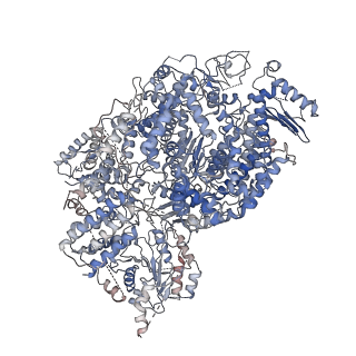 21095_6v85_A_v1-3
Parainfluenza virus 5 L-P complex