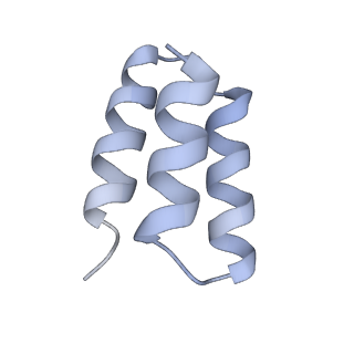 21095_6v85_F_v1-3
Parainfluenza virus 5 L-P complex