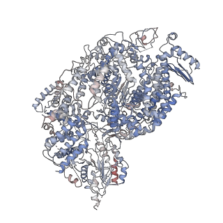 21096_6v86_A_v1-2
Parainfluenza virus 5 L-P complex with an alternate conformation of the CD-MTase-CTD module