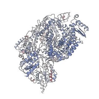 21096_6v86_A_v1-3
Parainfluenza virus 5 L-P complex with an alternate conformation of the CD-MTase-CTD module