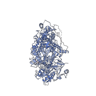 21108_6v8p_A_v1-2
Structure of DNA Polymerase Zeta (Apo)
