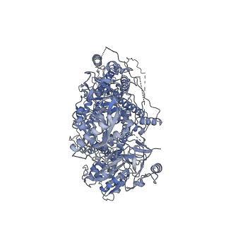 21108_6v8p_A_v1-3
Structure of DNA Polymerase Zeta (Apo)