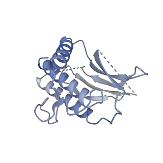 21108_6v8p_D_v1-2
Structure of DNA Polymerase Zeta (Apo)
